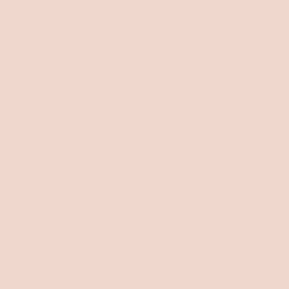 COLORANT DURCISSEUR CORAIL 25 KG