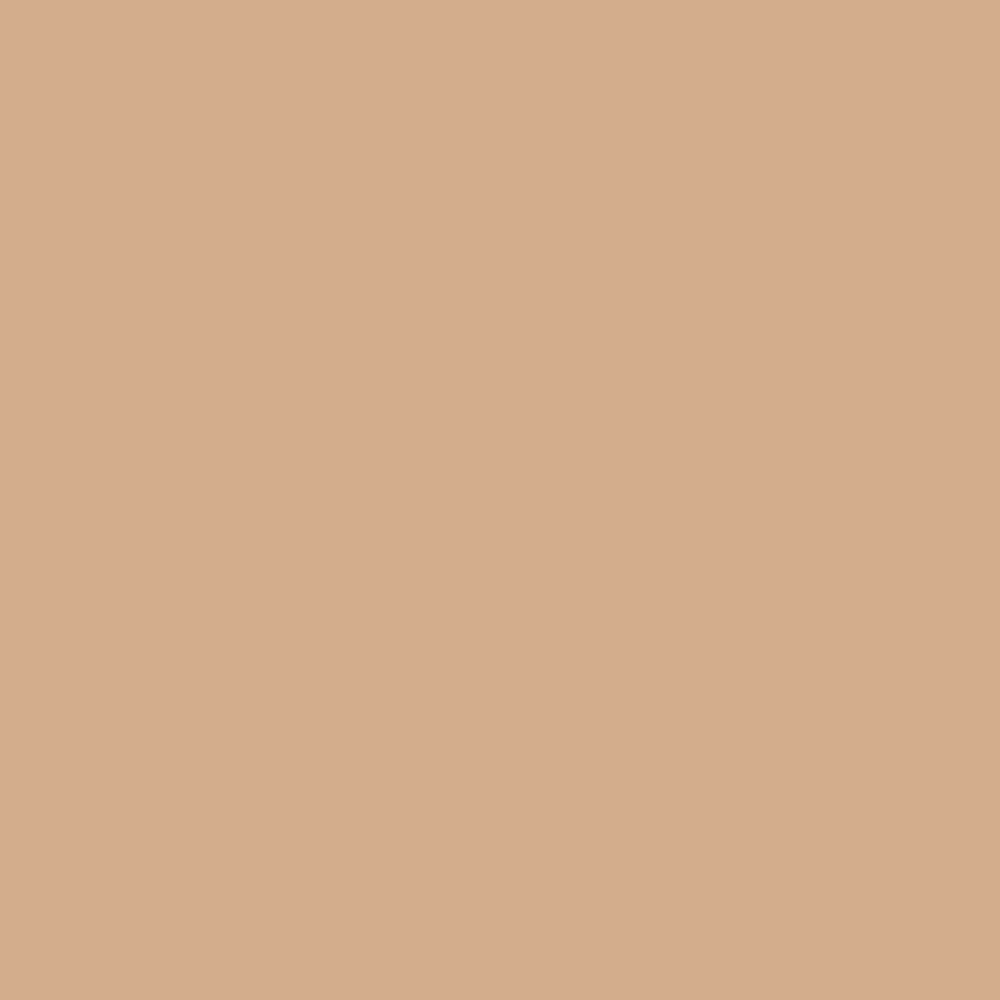 COLORANT DURCISSEUR MAPPLEWOOD 25KG
